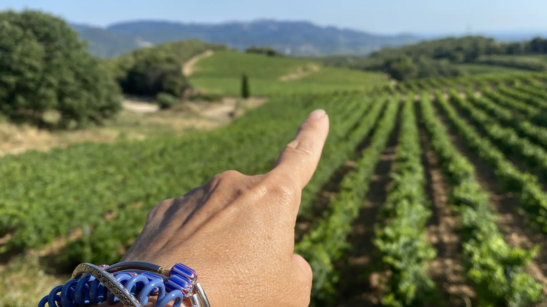 La belle vue depuis le domaine des Escaravailles