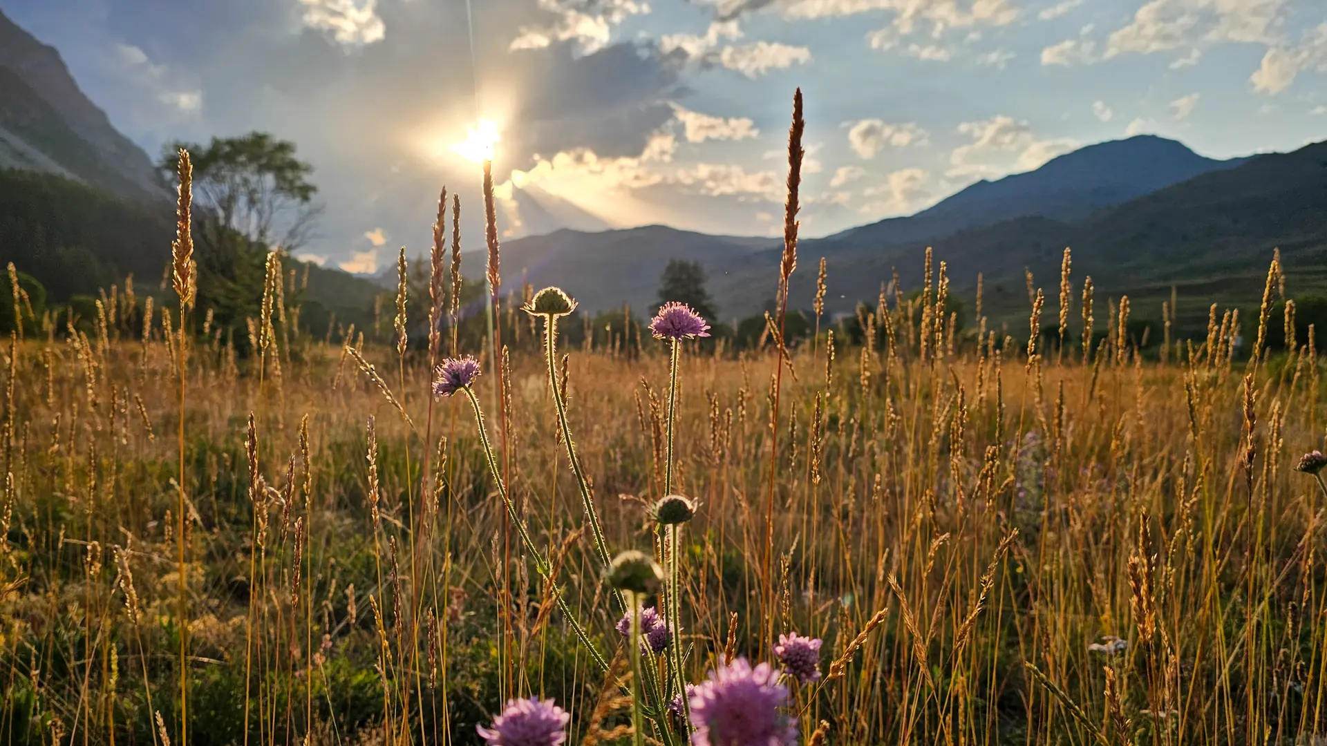 Le Bourget - Cervières