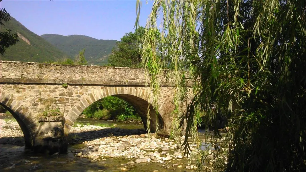 Pont