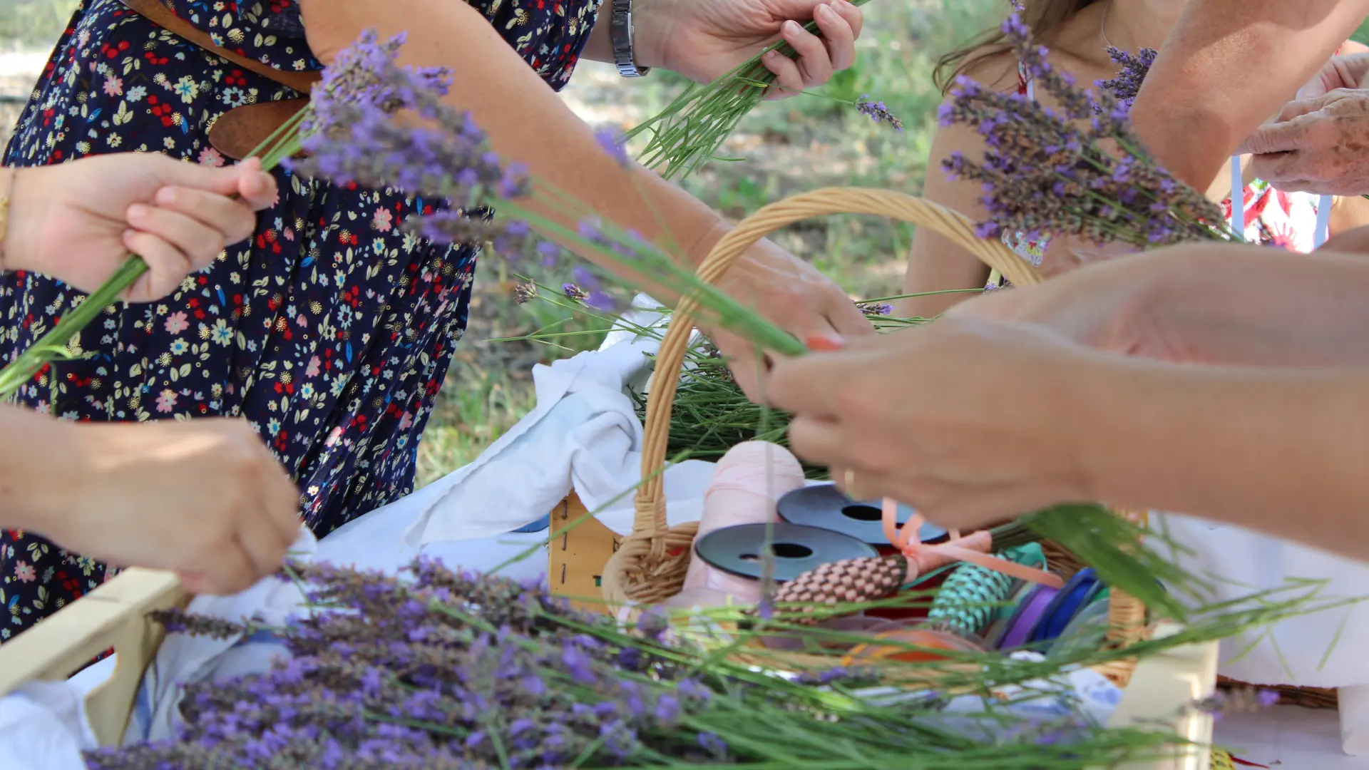 La Provence en Bouteille