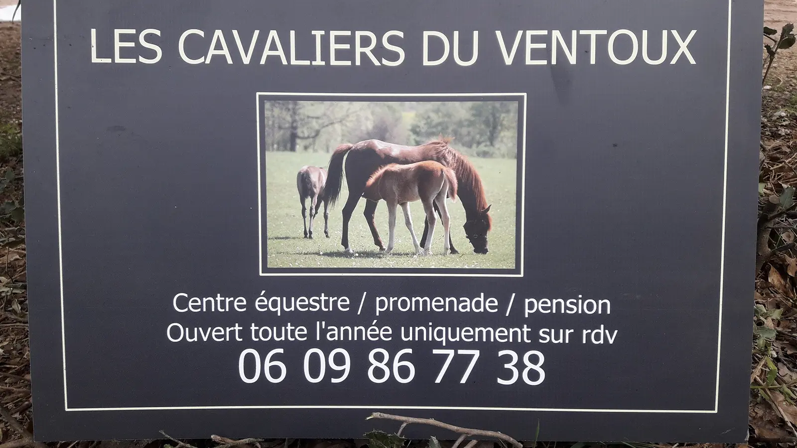 Les Cavaliers du Ventoux