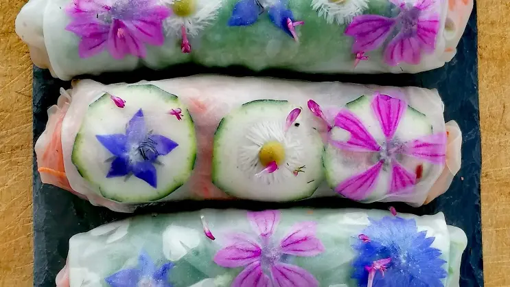 Rouleaux de Printemps Fleuris