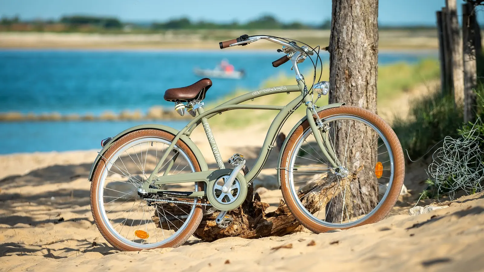 Vélo Beach Cruiser