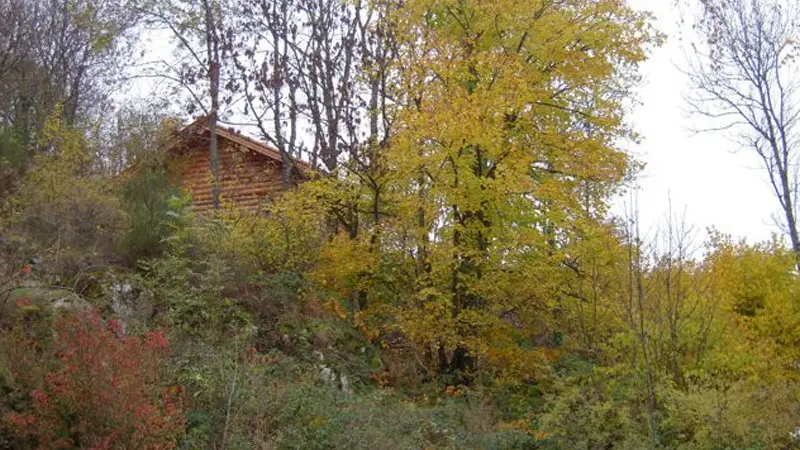 Le chalet des oiseaux se fond dans le paysage