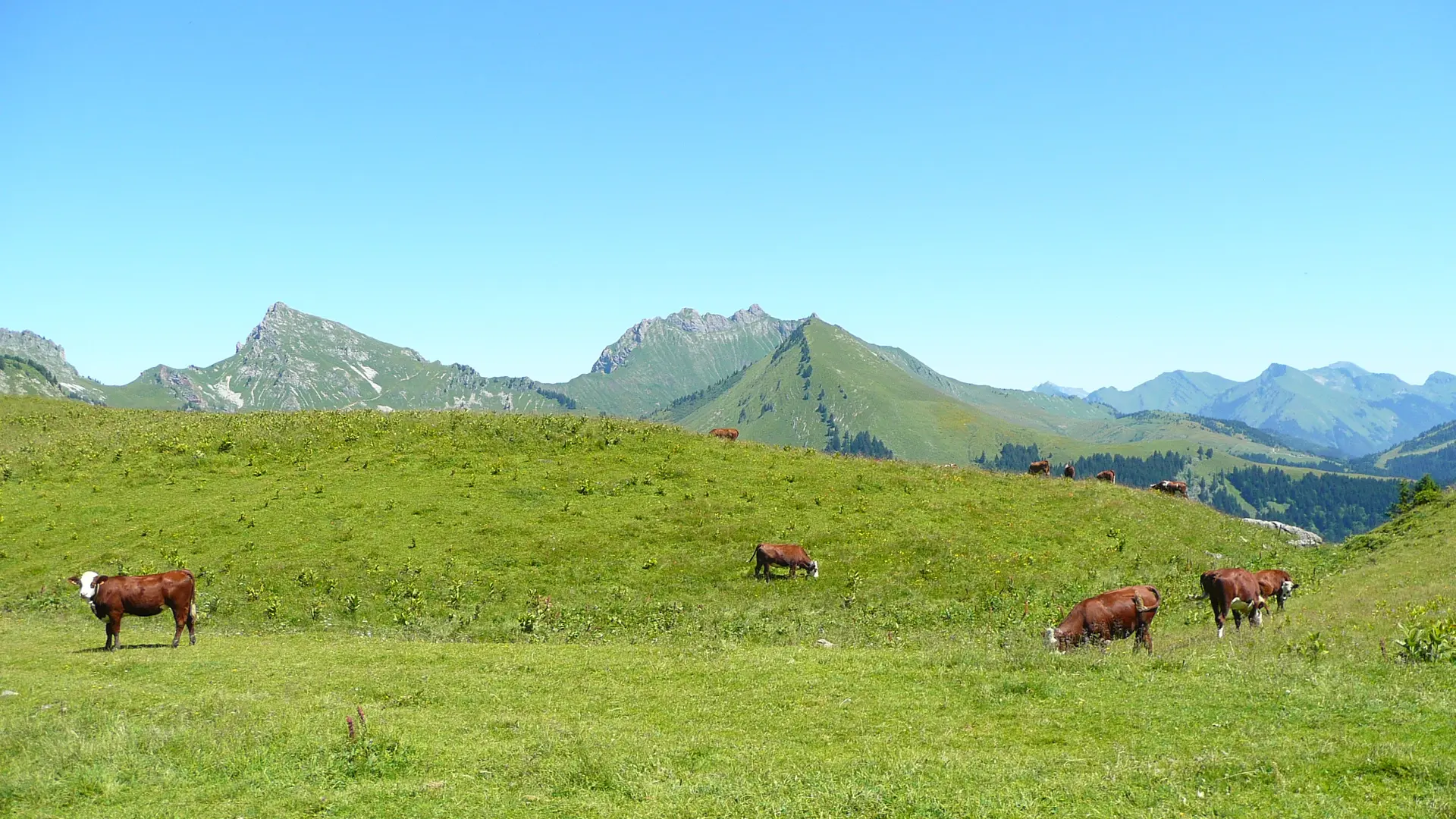Chalet des Bons Fromages