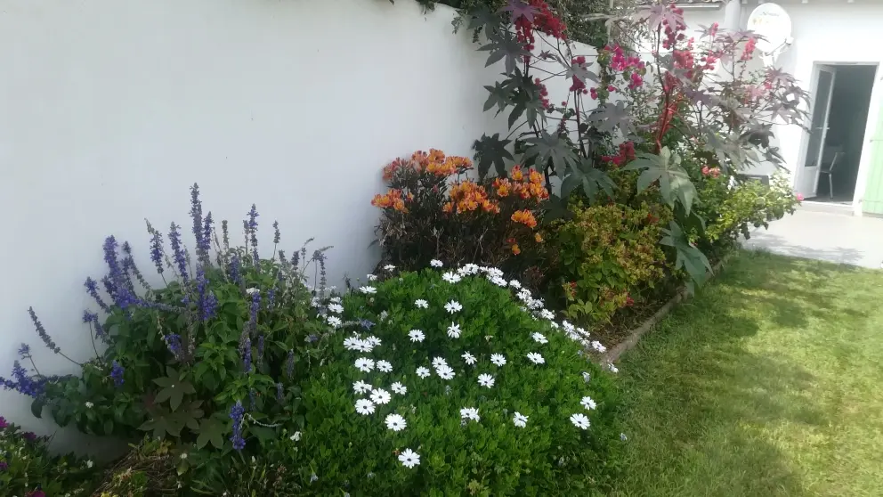 jardin