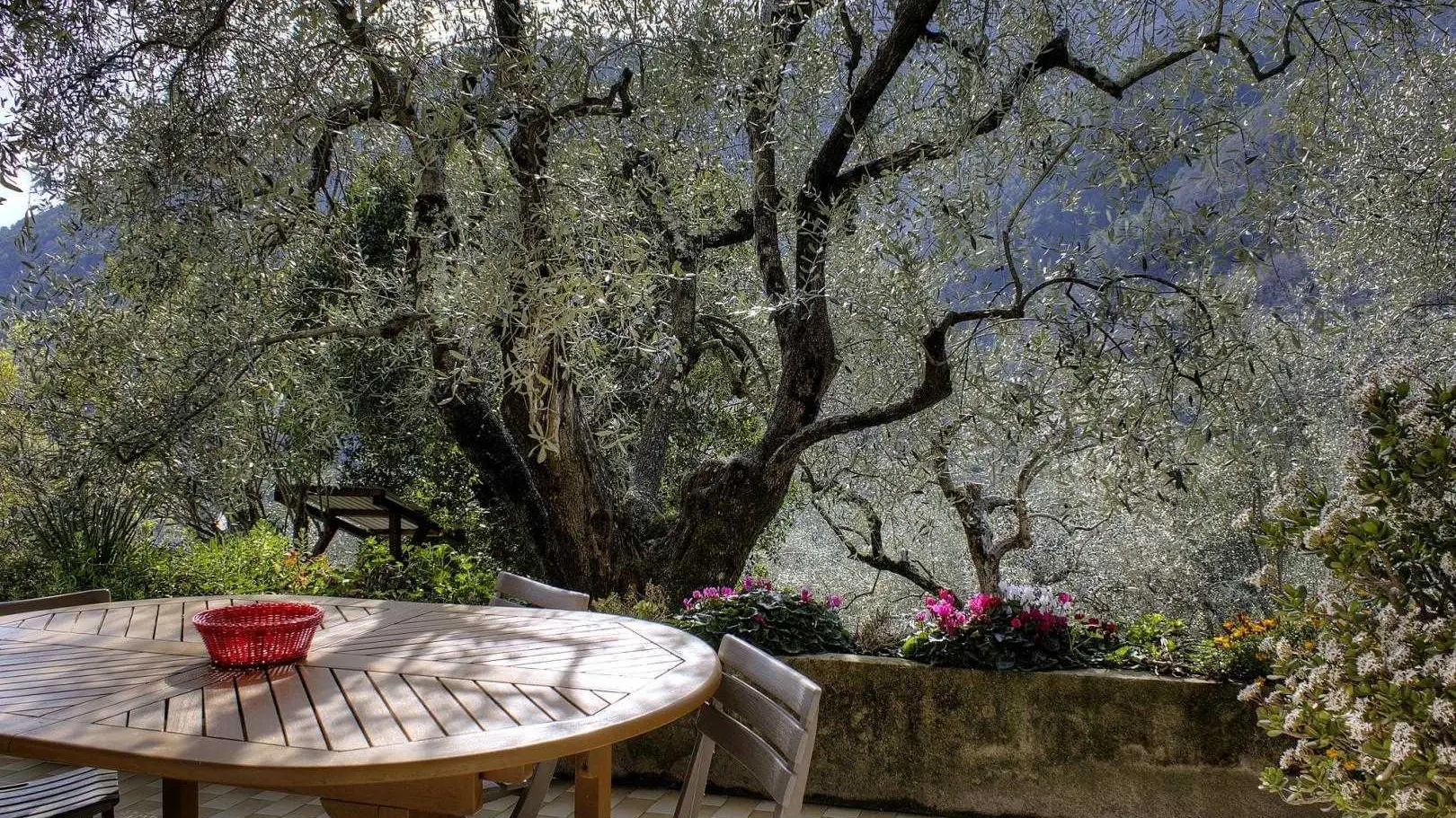 Terrasse Gîte Le Bourg 1 labellisé Gîtes de France à Breil sur Roya