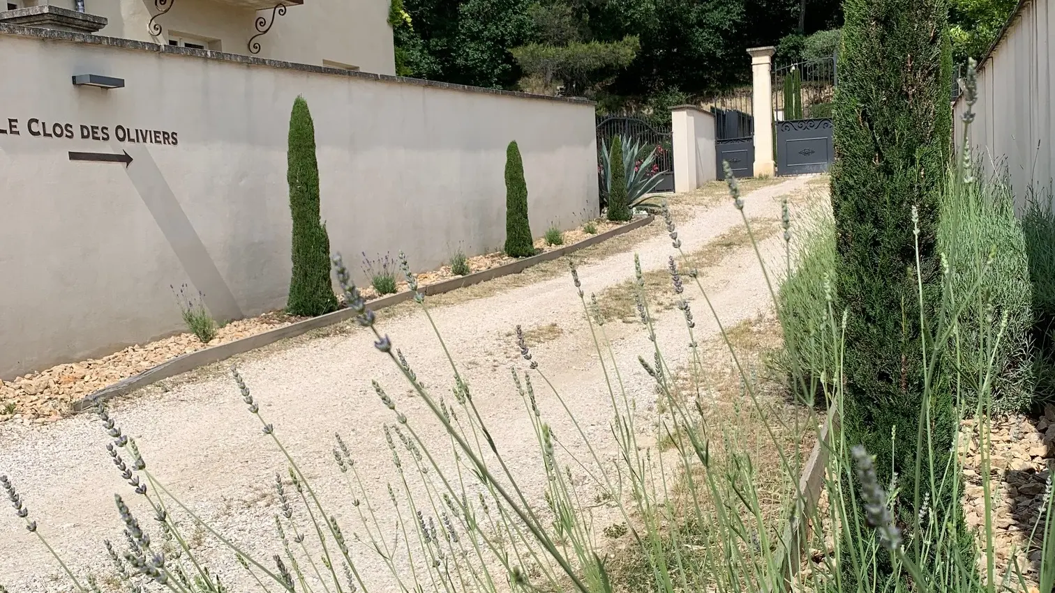 Chemin d'accès avec lavandes