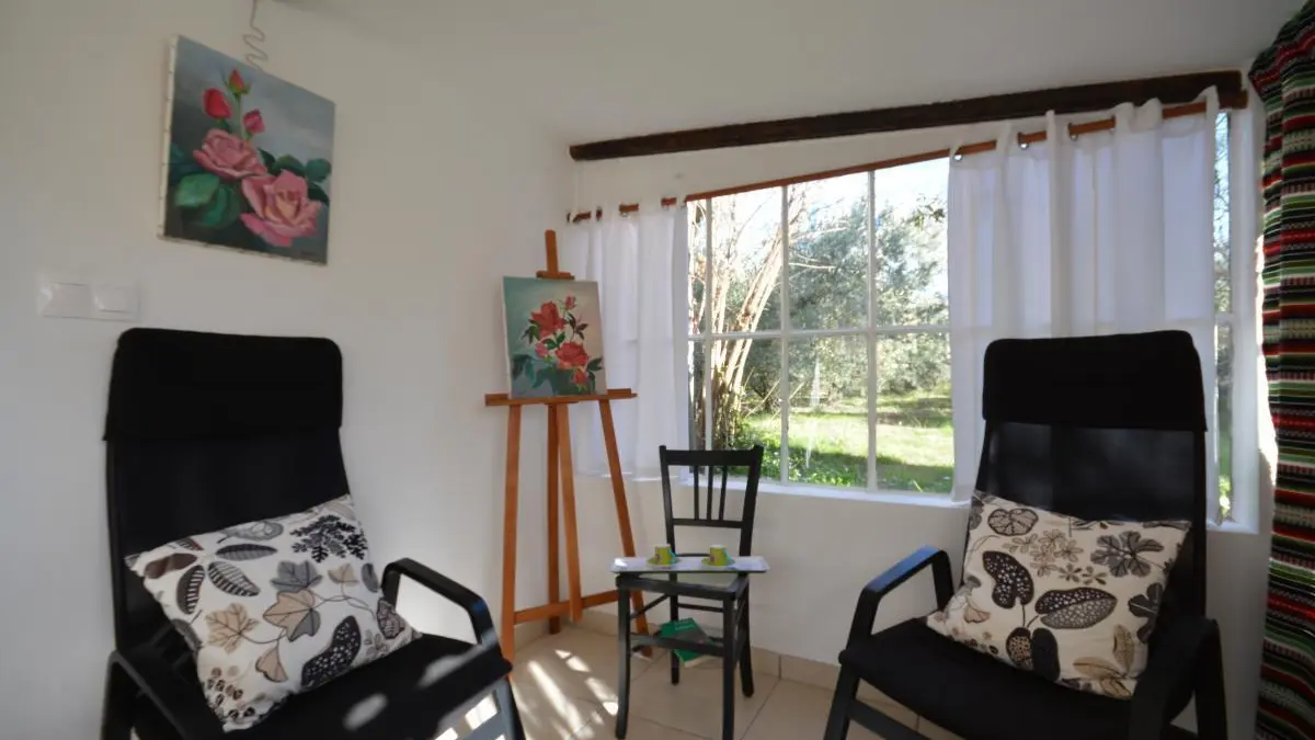 Le Cabanon de l'Olivette 6