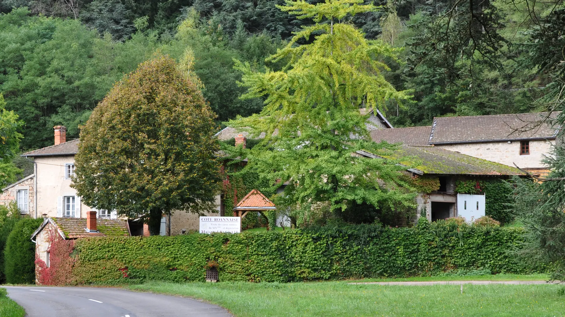 Vue générale de l'exploitation