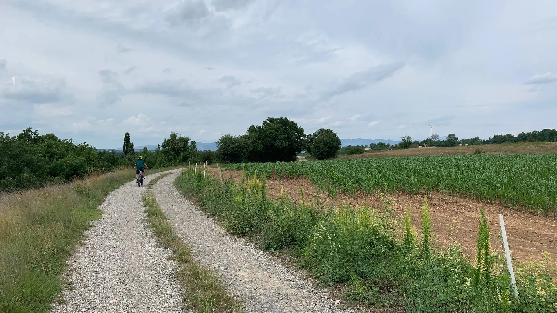 Traversée de grandes plaines agricoles