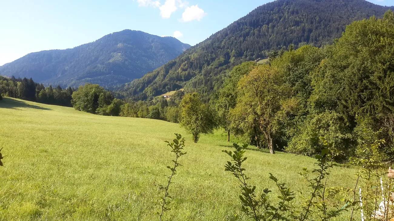vue sur montagne