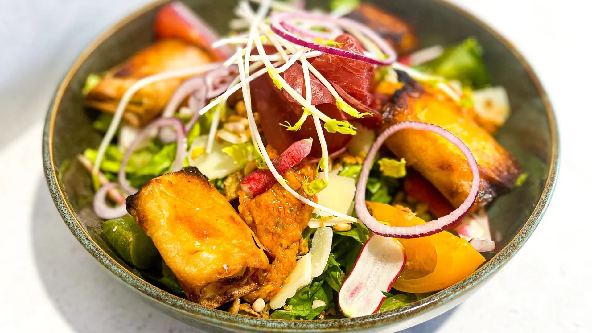 Pied d'poule Toulon 2022