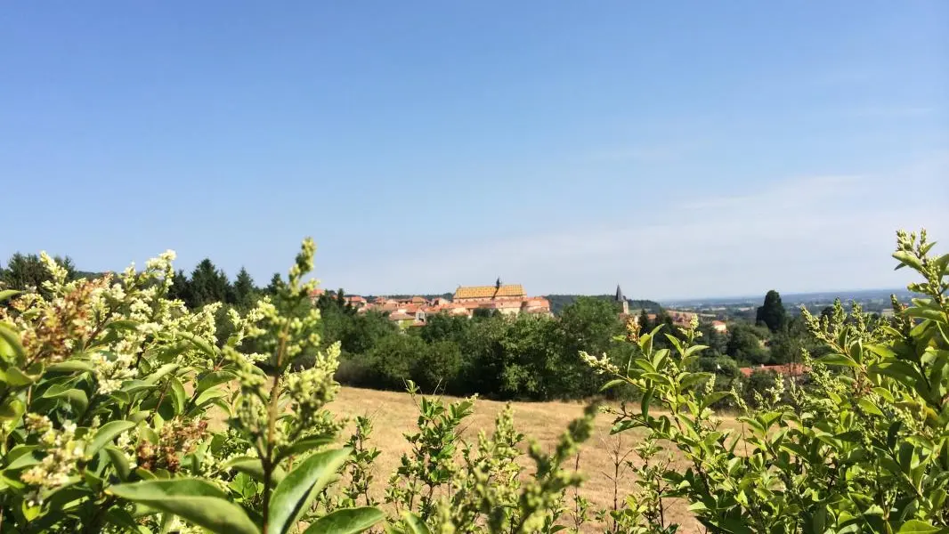 Vue dégagée sur le bourg d'Ambierle