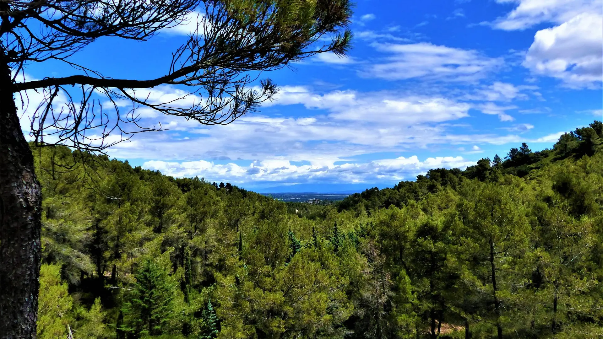 Vue sur le vallon de Valmouirane