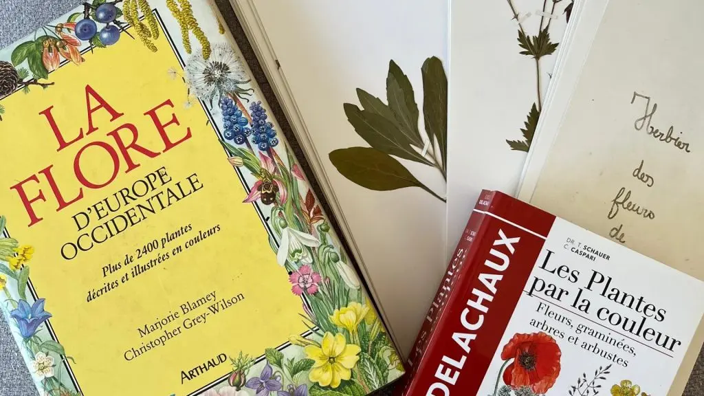 Les cycles créatifs avec les Ateliers de l'Epinette_Allevard