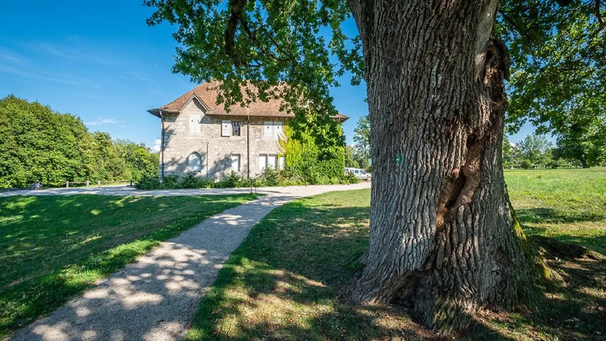 Domaine de Rovorée la Châtaignière