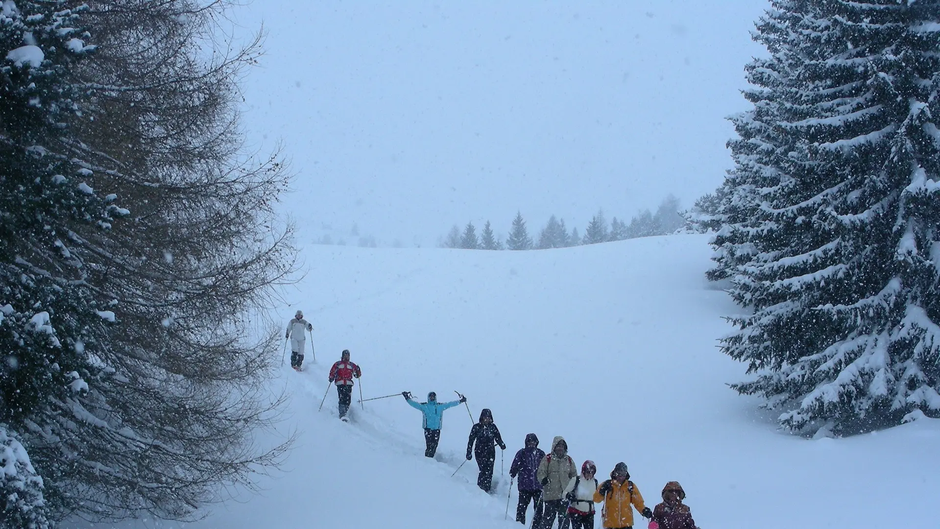 Sortie raquettes avec Michel Manini, Dévoluy, Hautes-Alpes