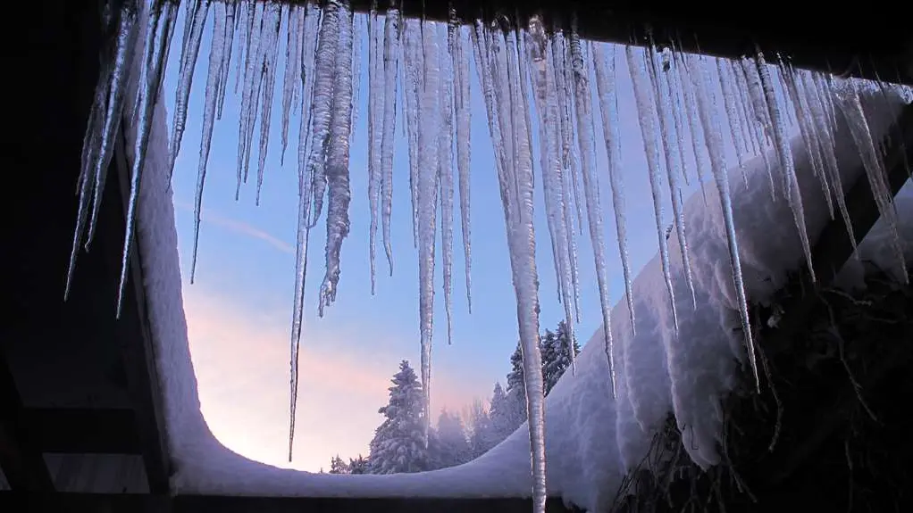 Beauté hivernale