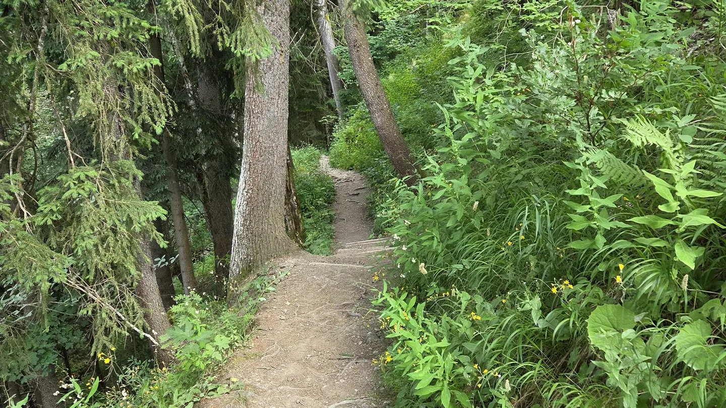 Sentier_de_randonnée