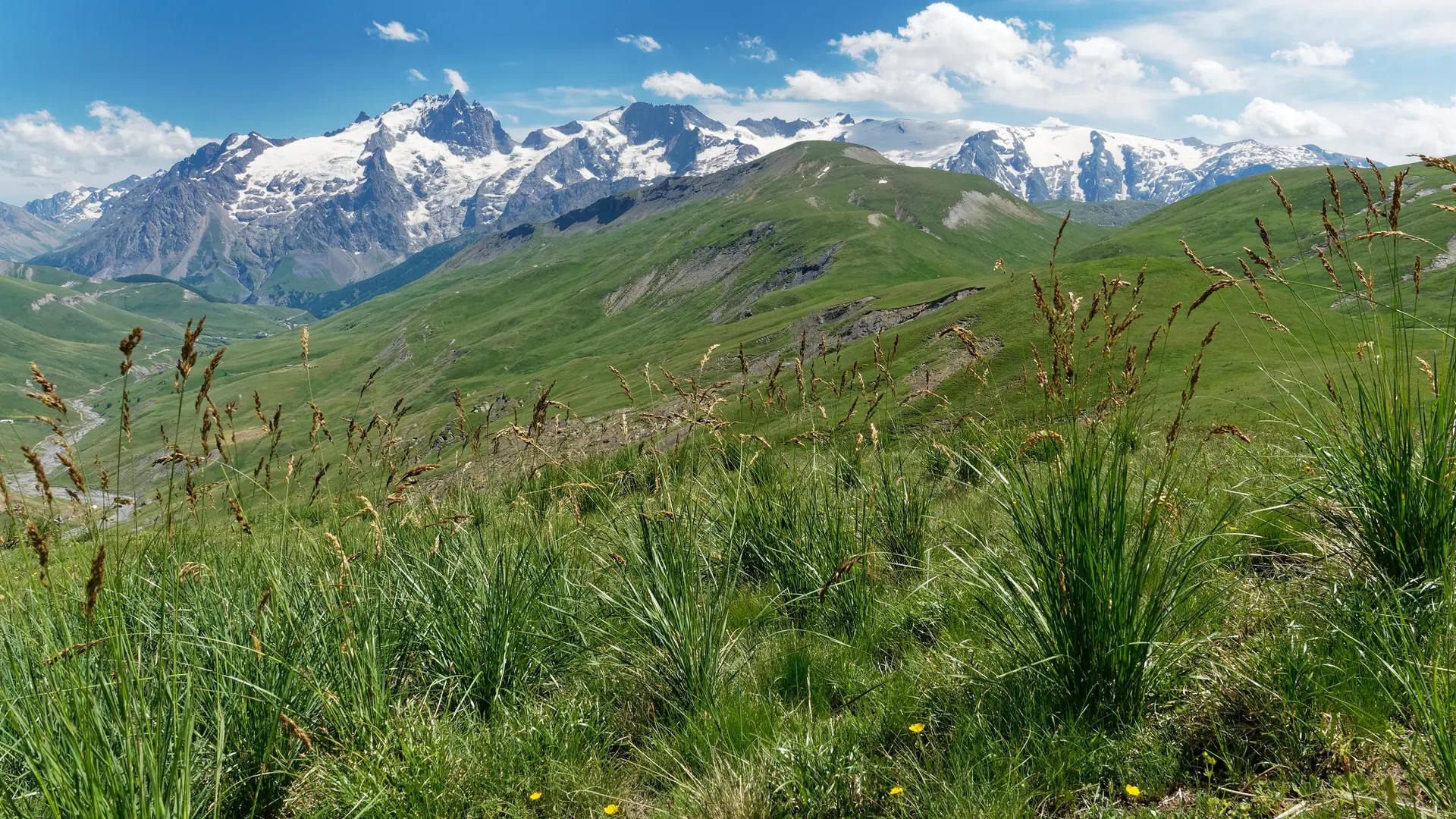 Vallon de la Buffe en direction du Gros Têt