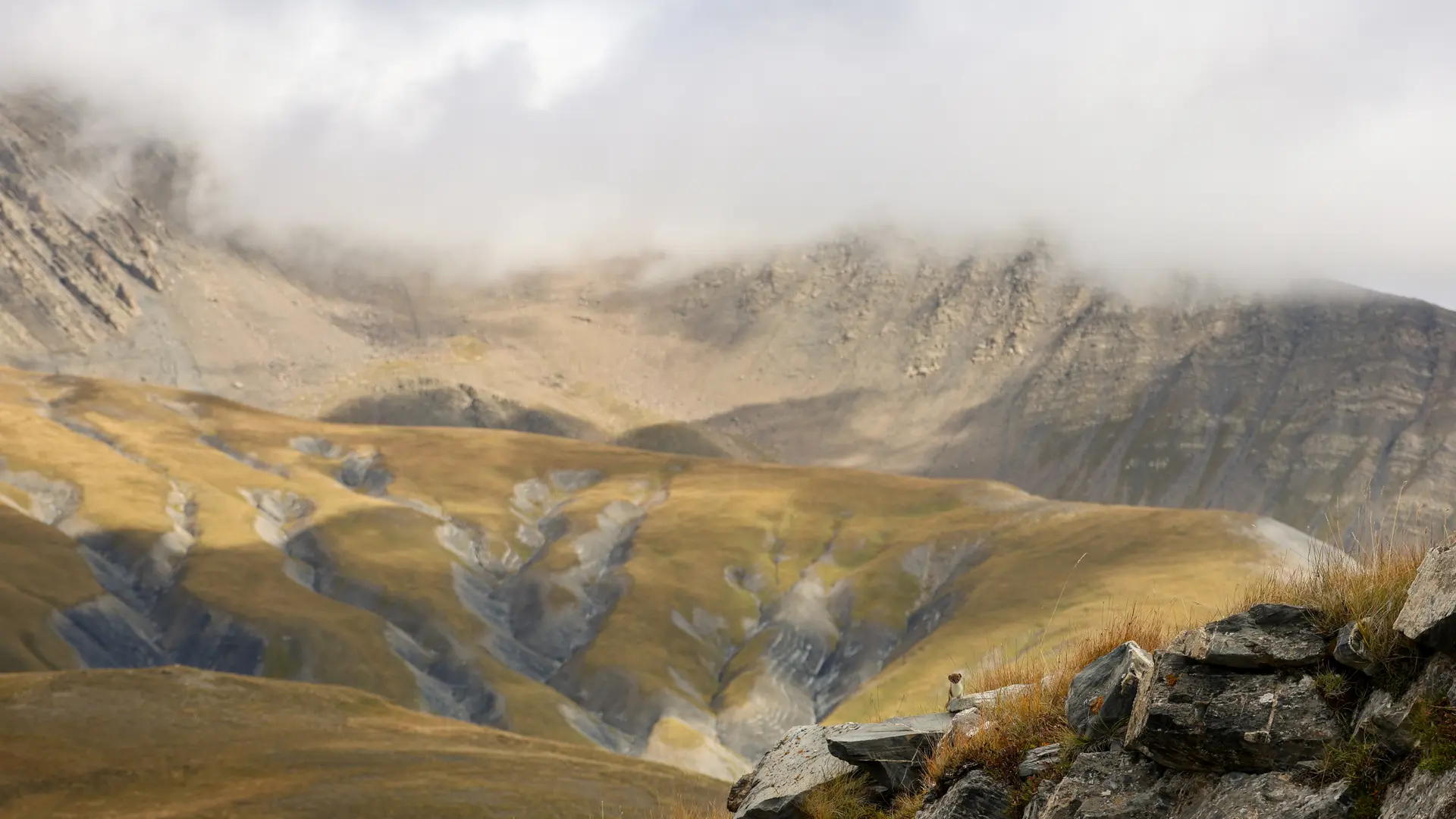 Signal de la Grave depuis le Chazelet