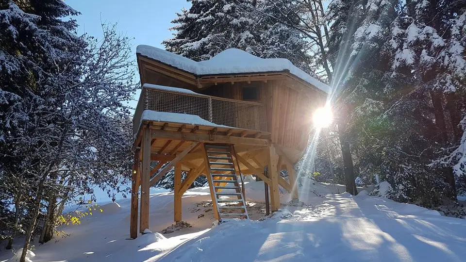 cabane insolite