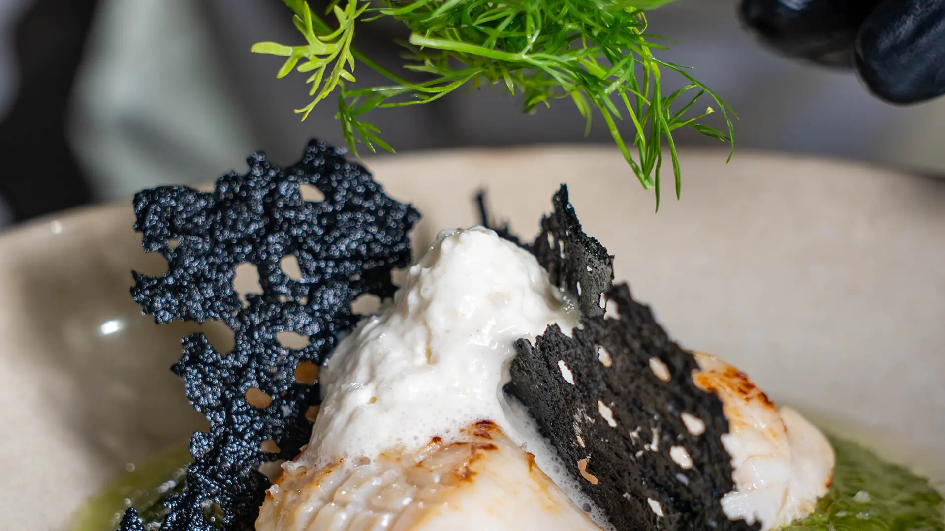 Saint-Jacques poêlées, crème épinard