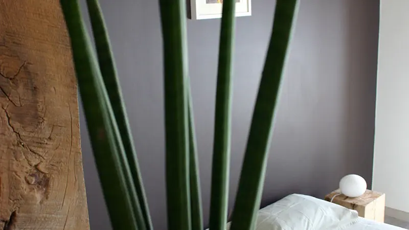 Intérieur d’une chambre