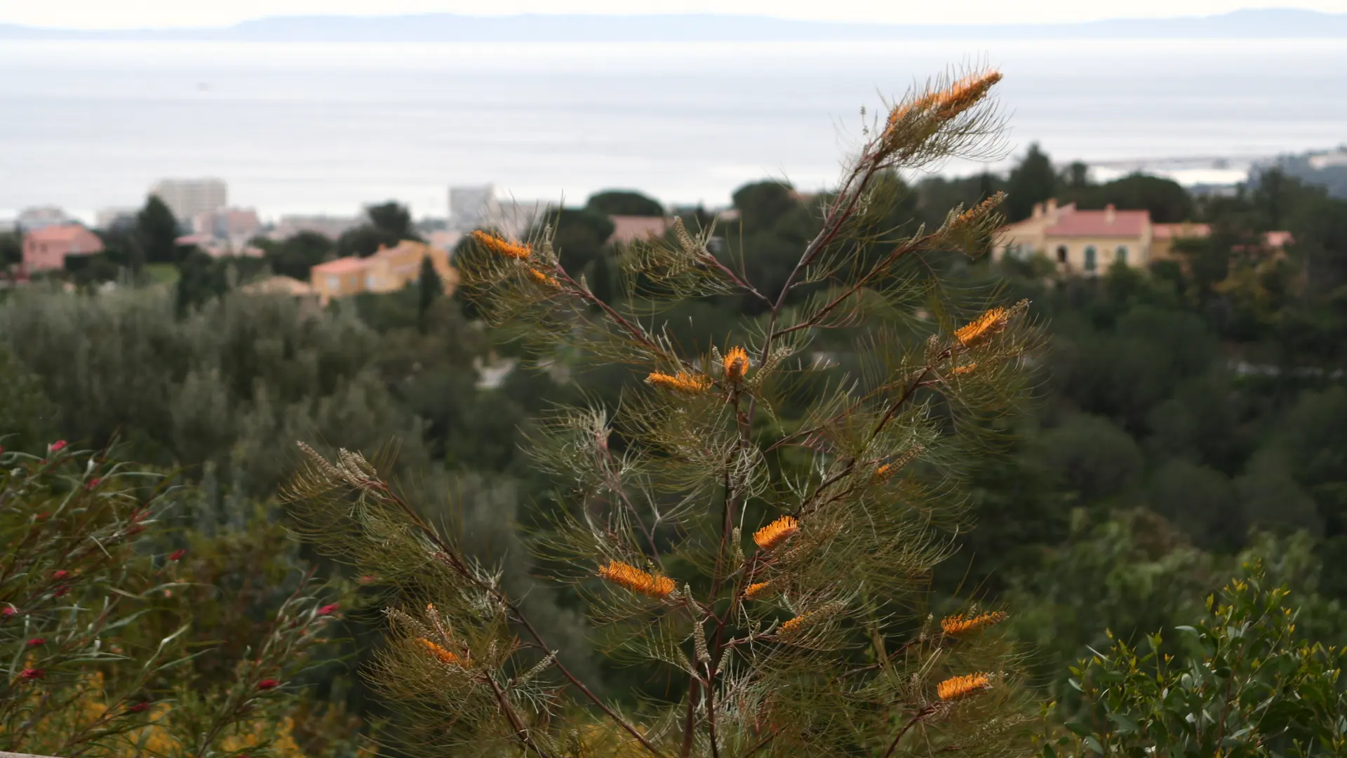 Parc Gonzalez