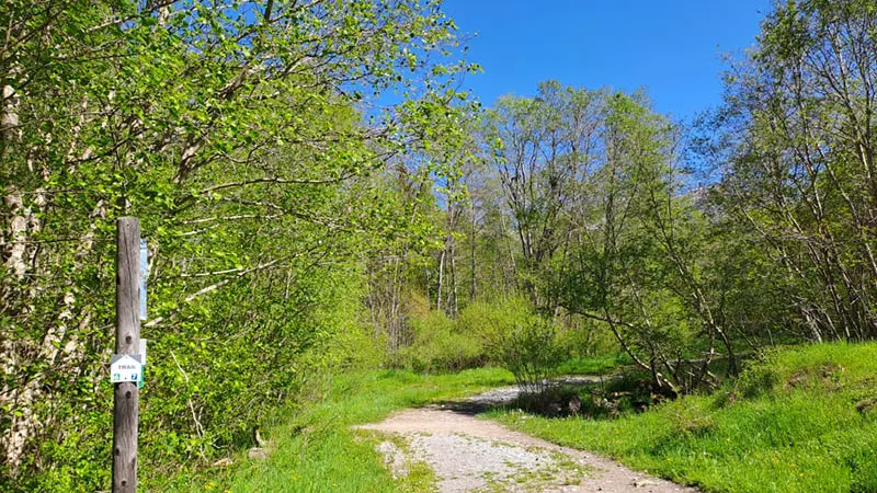 Trail : Le plan - le village_Allos