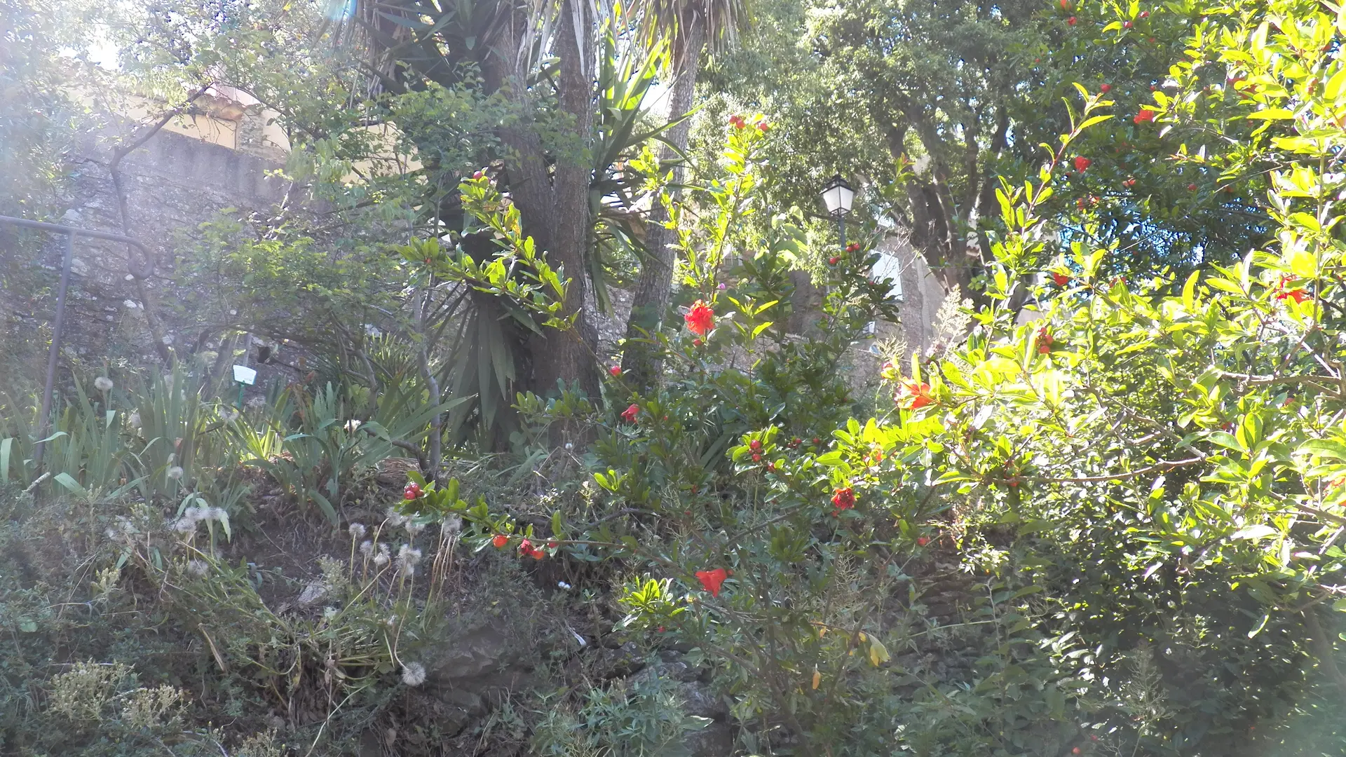 Jardin remarquable L'Hardy à Gassin - https://gassin.eu