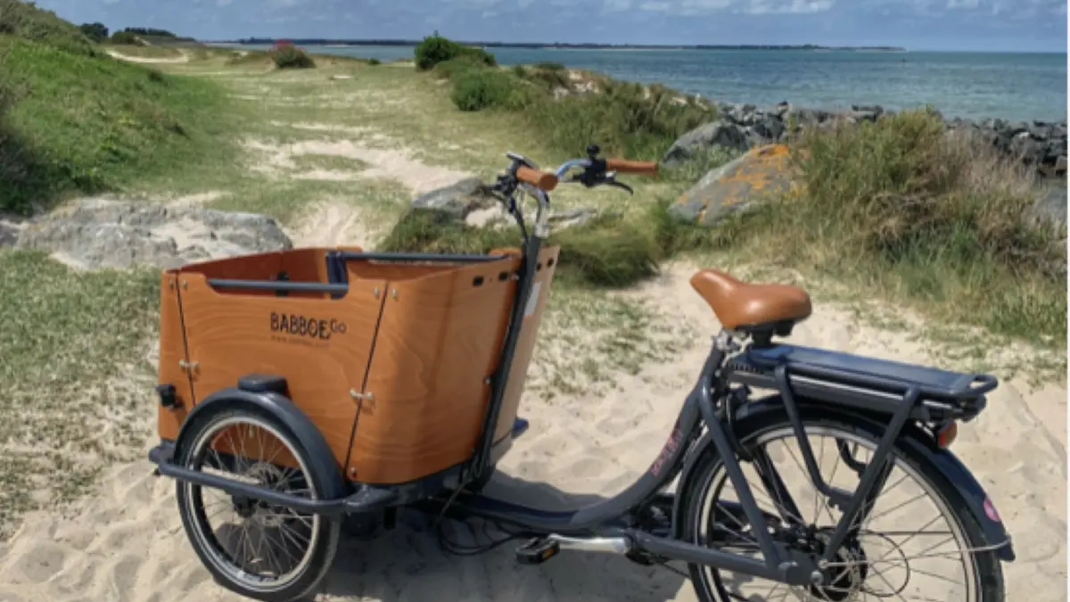 Beach Bikes