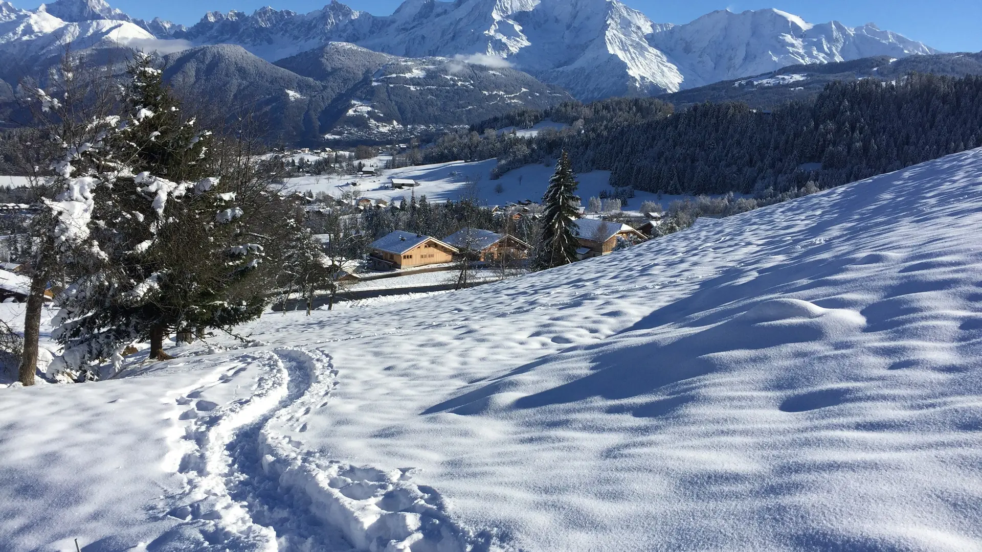 Sous la neige