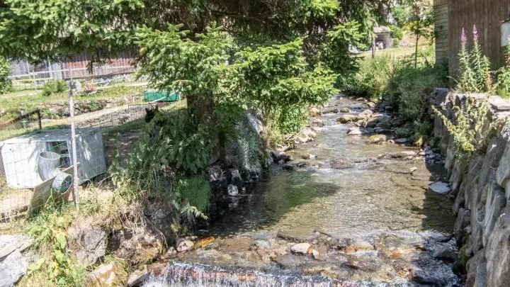 Rivière à proximité immédiate du gîte