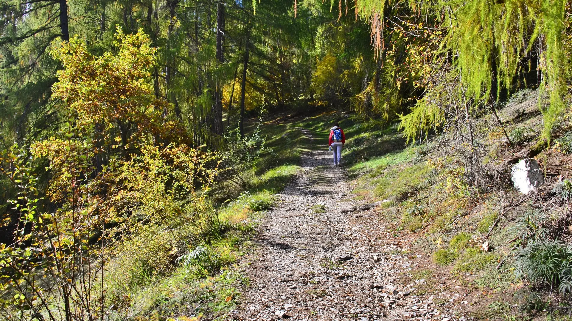 Chalet L'Eyssina CRÉVOUX