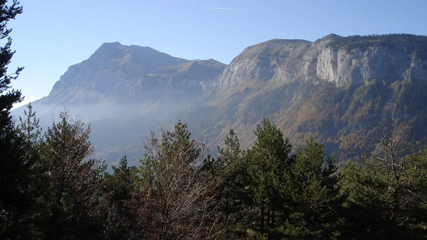 Panorama