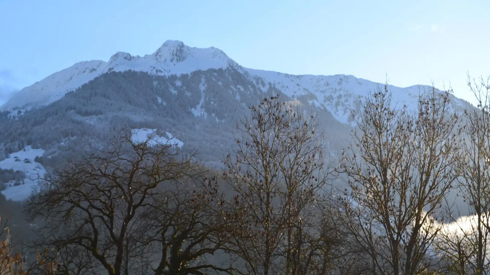 Vue depuis le Gîte