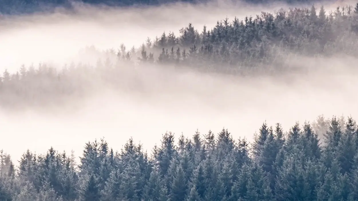 Saint-Nicolas-des-Biefs