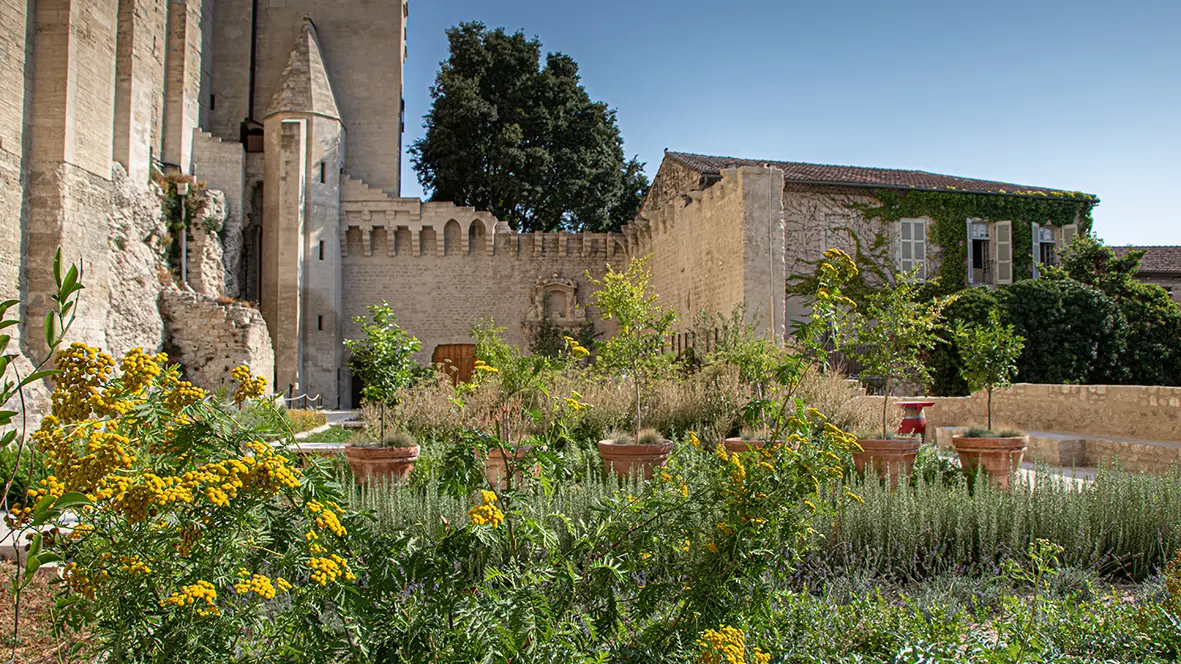 Jardins du Palais des papes