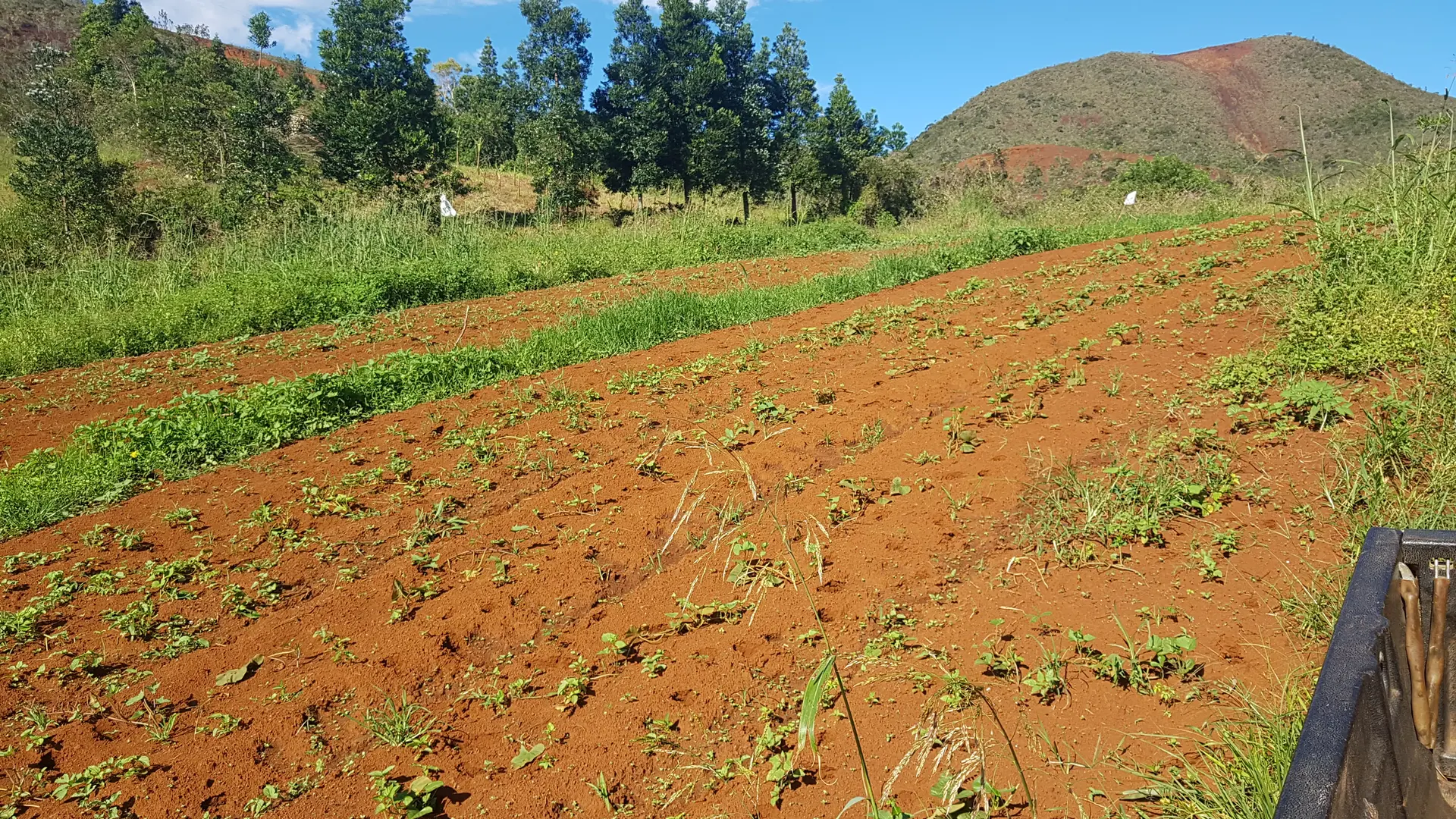 De longues étendues d'exploitation agricole, que Claudine a cultivé seule, avec l'aide de son compagnon et de ses enfants... Impressionnant !