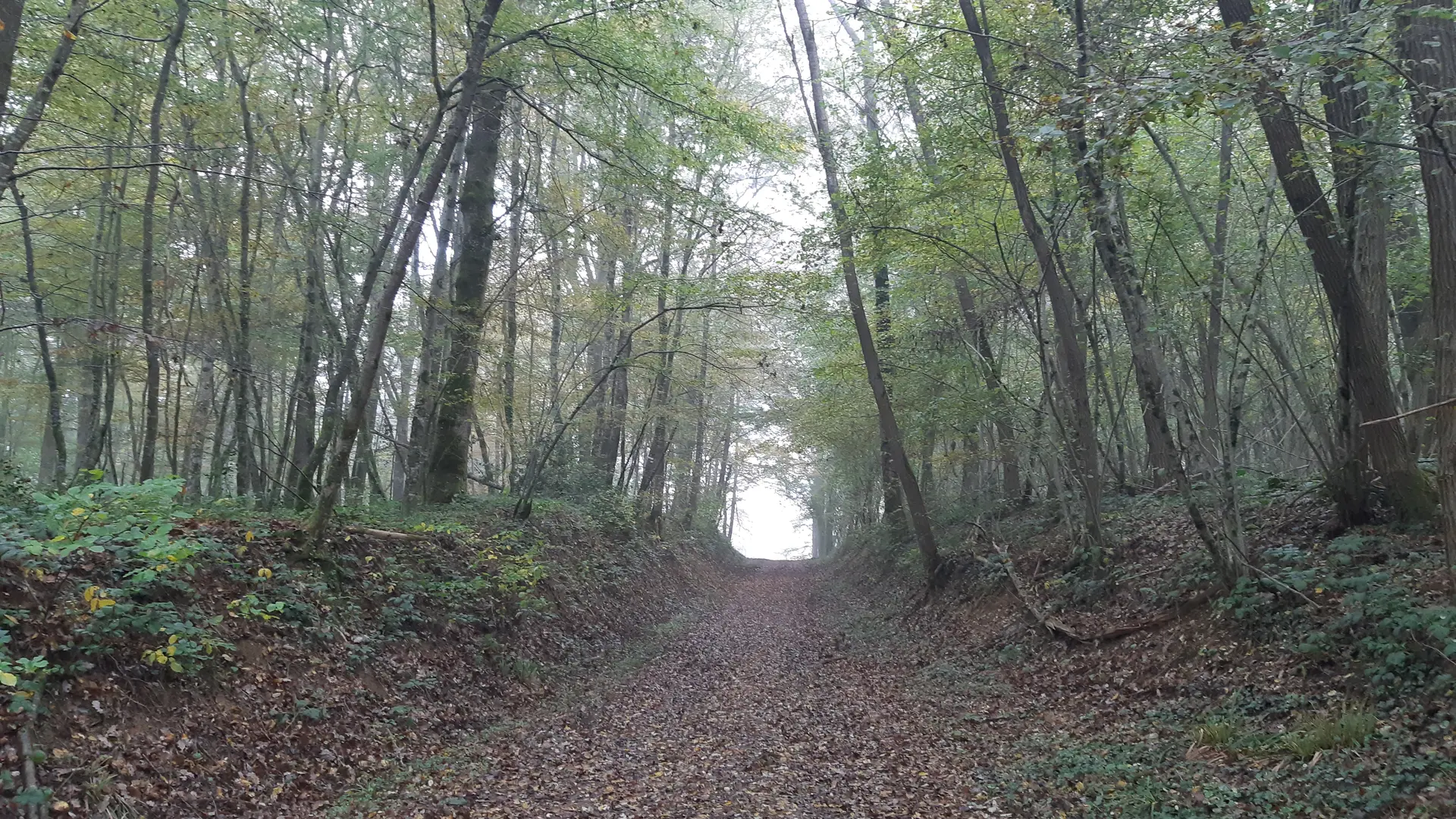 Villemotier