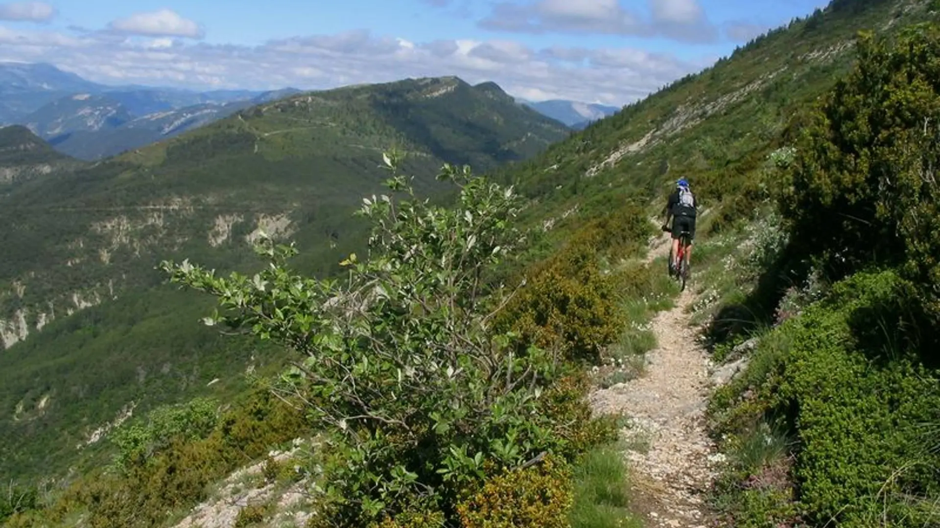 Jolie portion étroite et panoramique