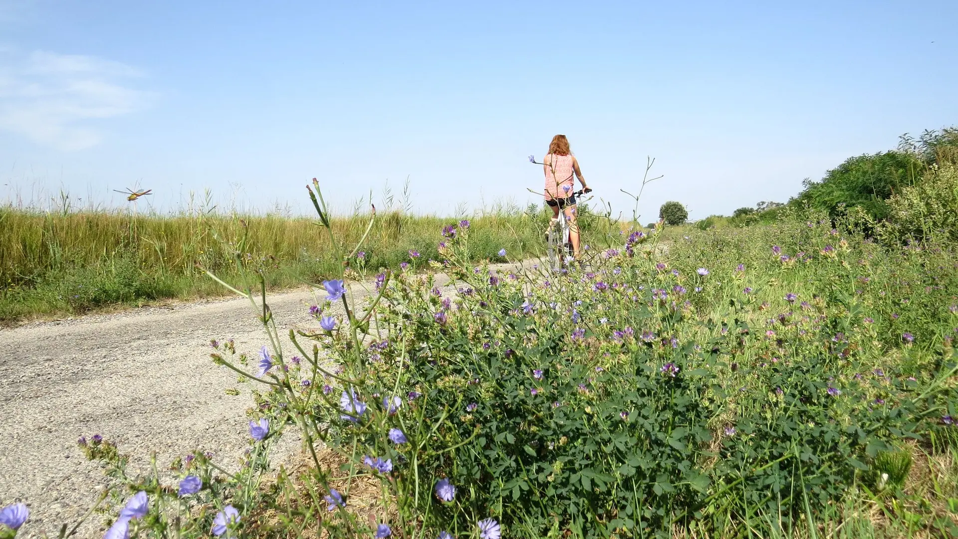 Cycliste sur la route des Figares