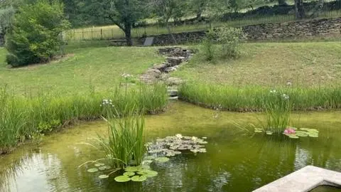 la piscine
