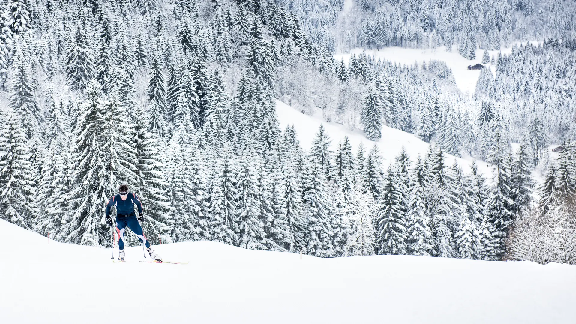 Ski de fond