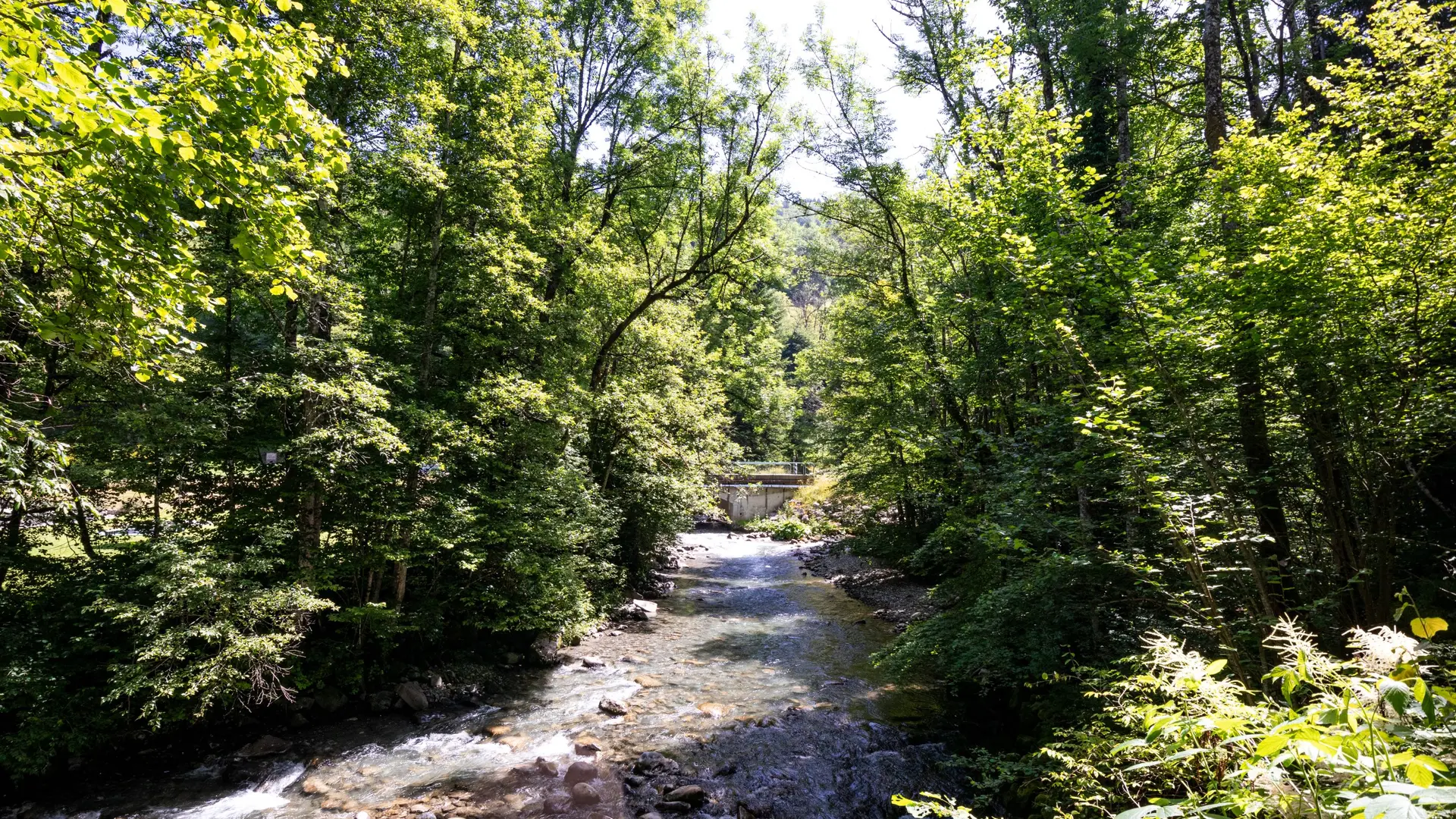 rivière
