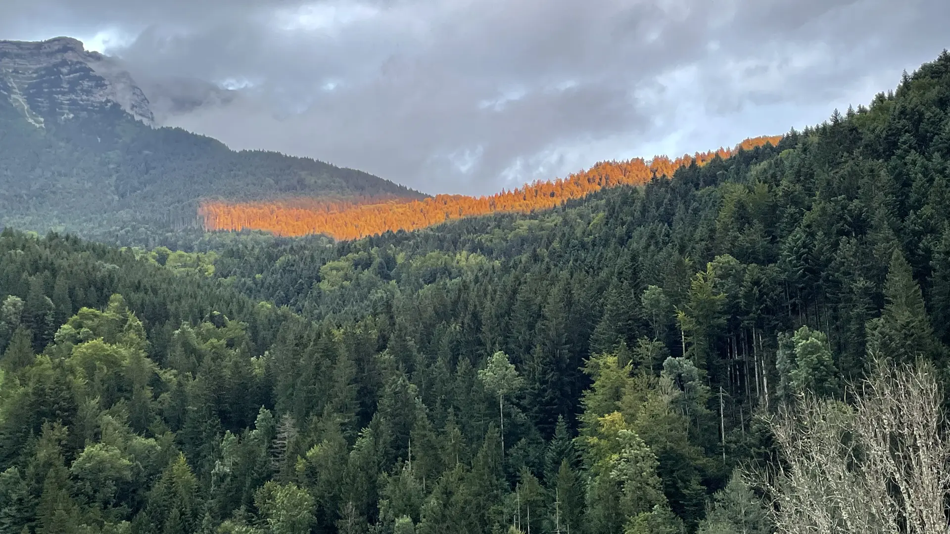 Vue sur les montagnes de Chartreuse