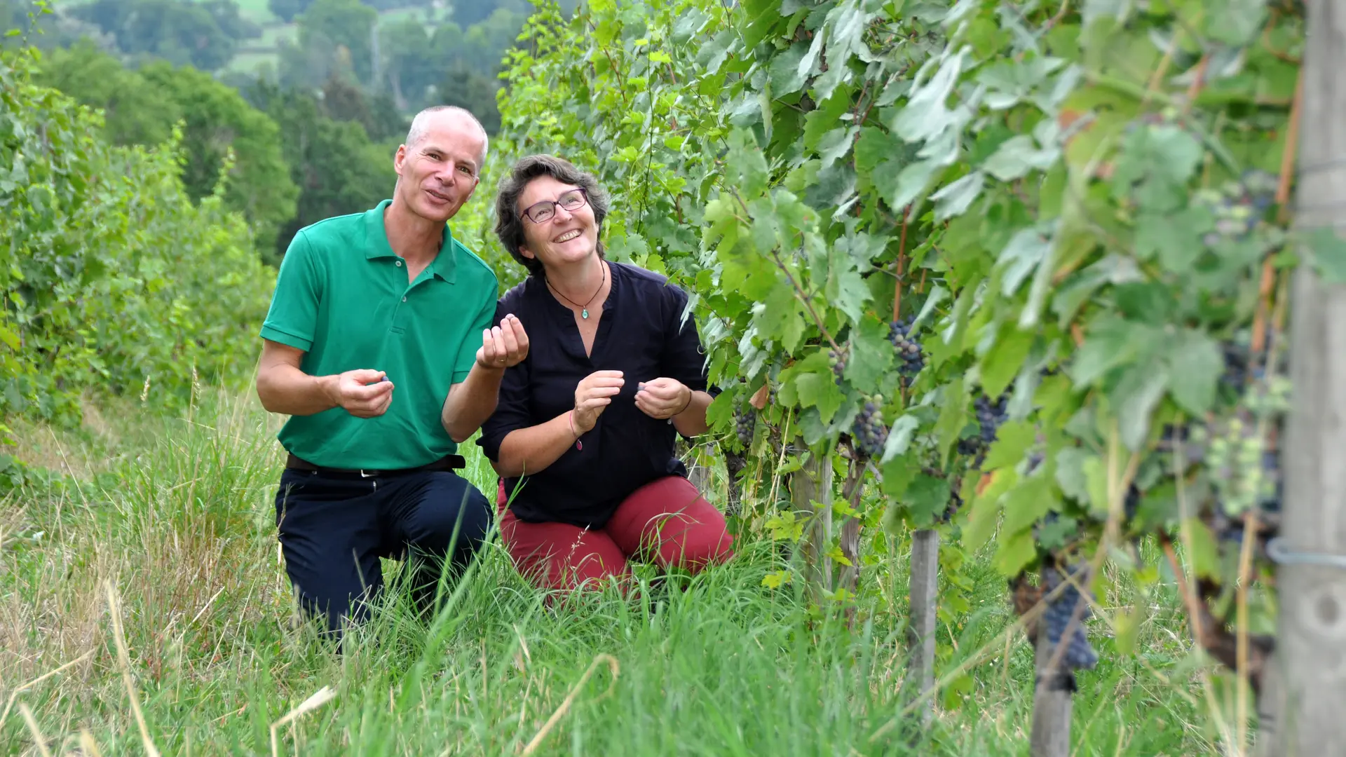 Domaine de la Bénisson Dieu