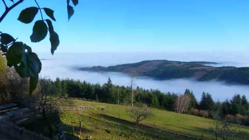 Travées de brouillard